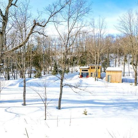 Cozy Cabin For Intimate Wilderness Escape Bathurst Ngoại thất bức ảnh